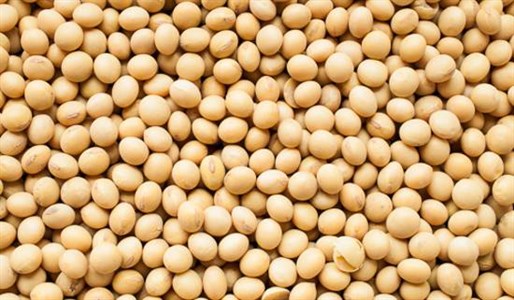 Продукты из сои