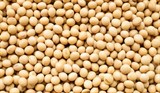 Продукты из сои Продукты из сои